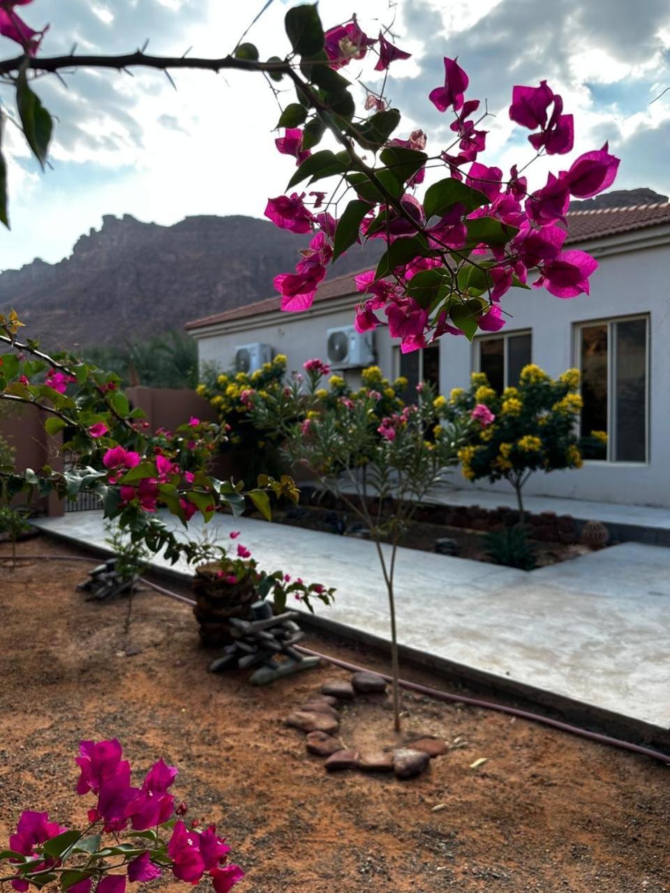 فيلا بمزرعة Al Ula Buitenkant foto
